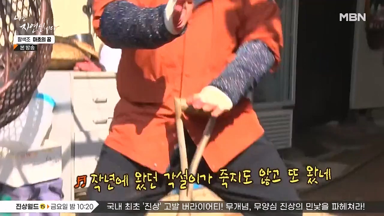 나는 자연인이다.E544.230309p-NEXT.mp4_20230309_191751.716.jpg