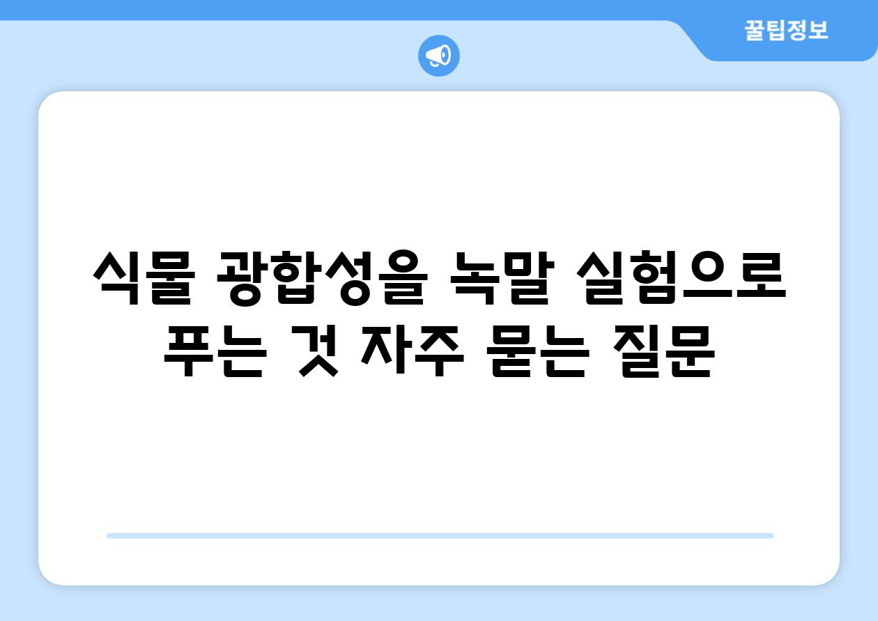 식물 광합성을 녹말 실험으로 푸는 것