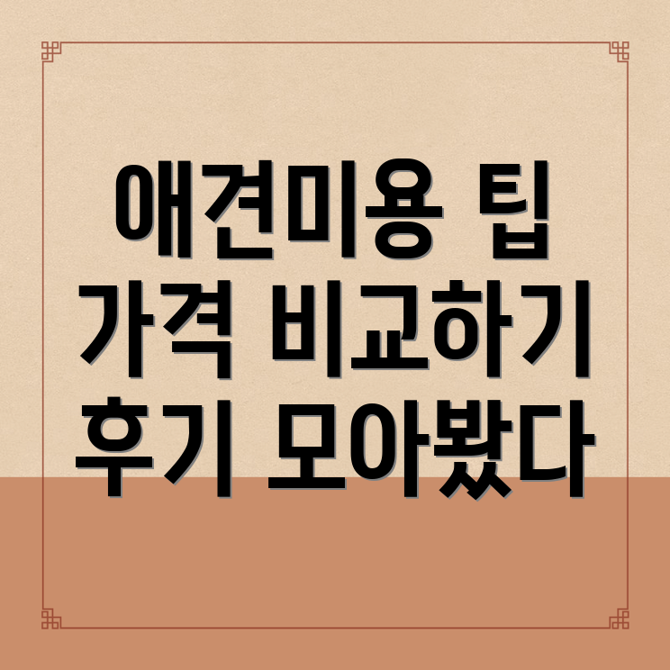 애견미용실