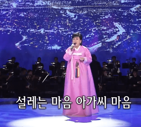 옥희(들고양이들) 십오야