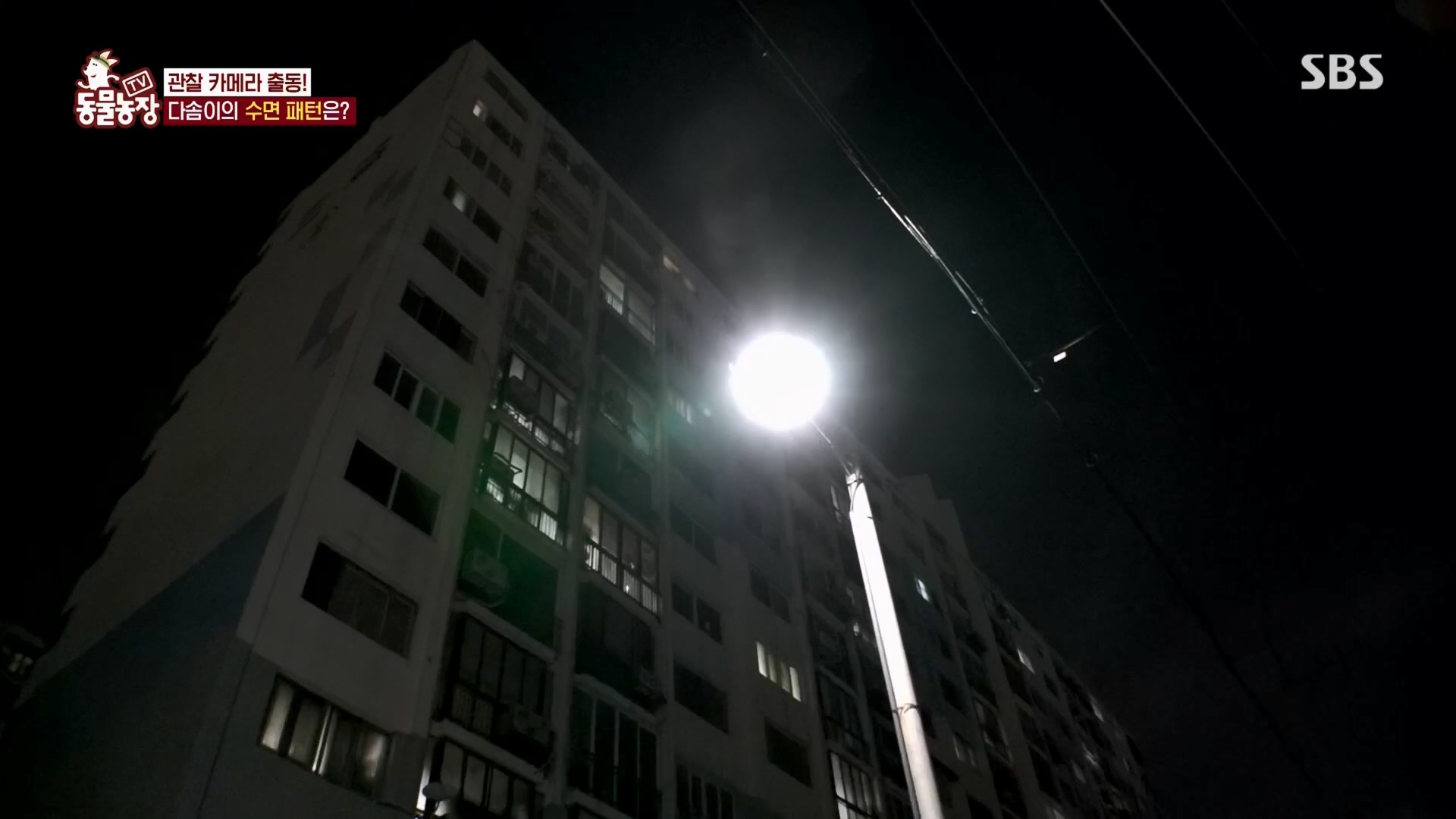 TV 동물농장.E1159.240218p.H264-F1RST.mp4_20240218_165959.863.jpg