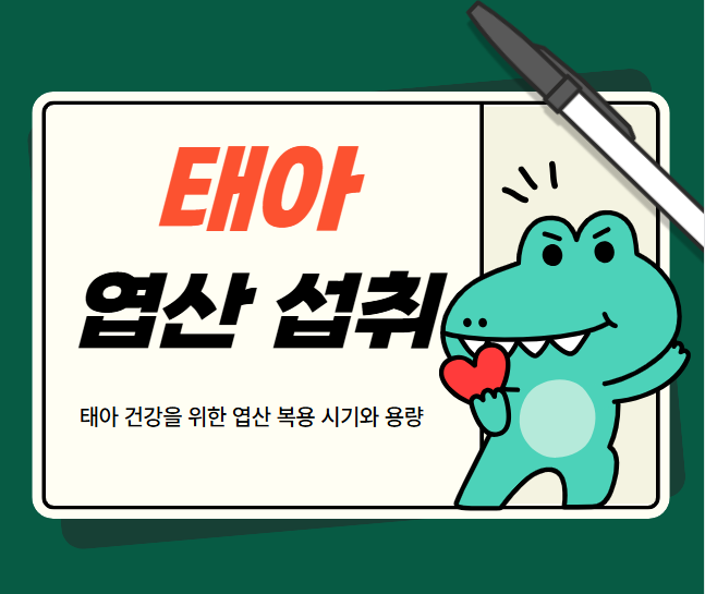 태아 건강을 위한 엽산 복용 시기와 용량