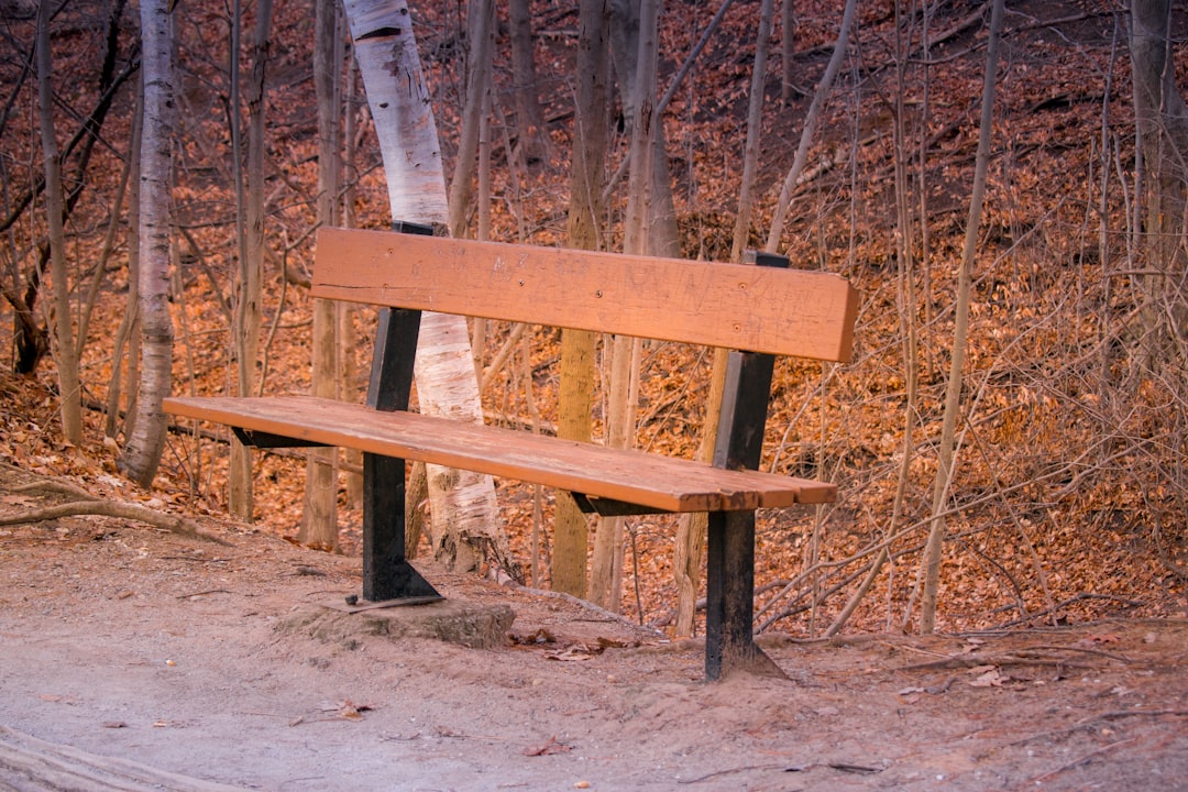 Sit.