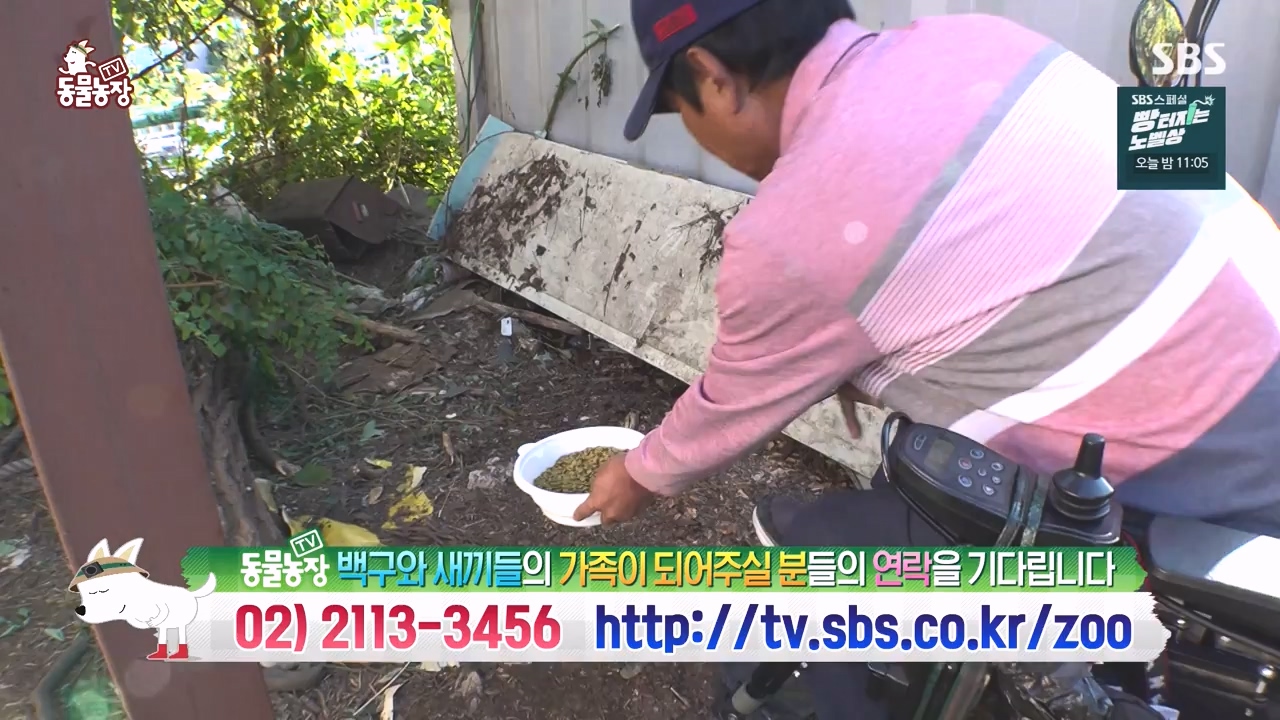 TV 동물농장.E1144.231106p-NEXT.mp4_20231105_180004.041.jpg