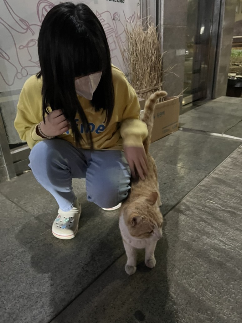 고양이 간택 고양이 4
