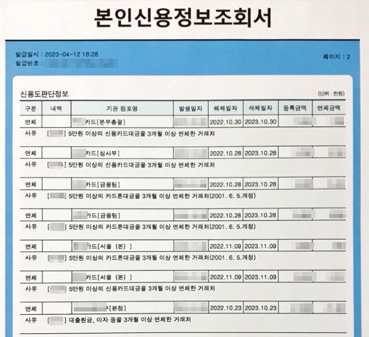 한국신용정보원 신용도판단정보