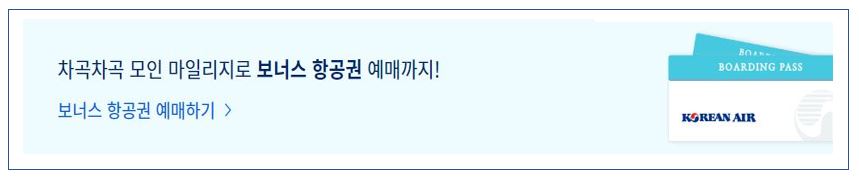 보너스 항공권 예매하기 바로가기