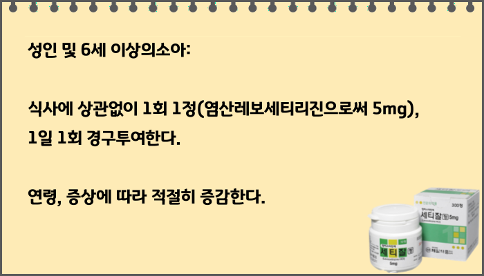 세티잘정_복용법