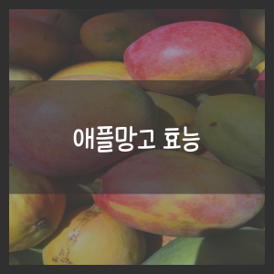 애플망고 효능