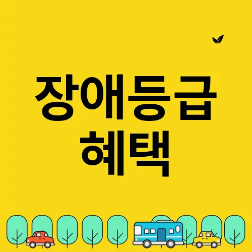 장애등급 혜택