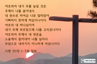 시편 1장 3절 묵상 - 그는 시냇가에 심은 나무가 철을 따라 열매를 맺으며_23