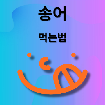 송어 먹는법