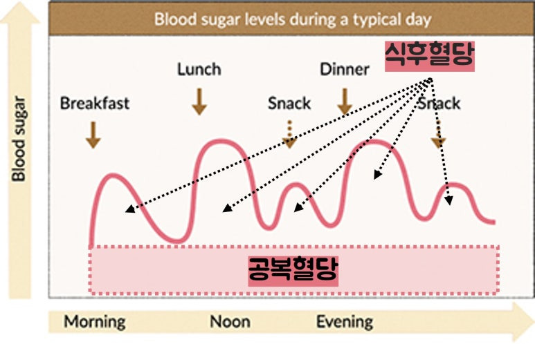 일중 정상 혈당 변화