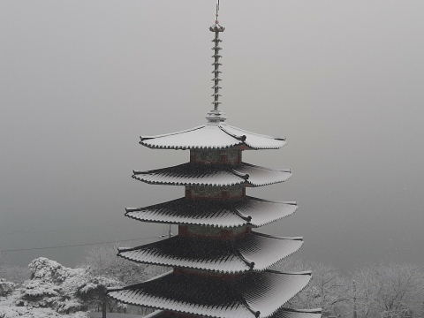 img.jpg