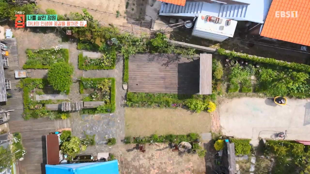 TV - 전 국민의 평생학교 EBS나를 살린 정원.mp4_20230814_211333.498.jpg