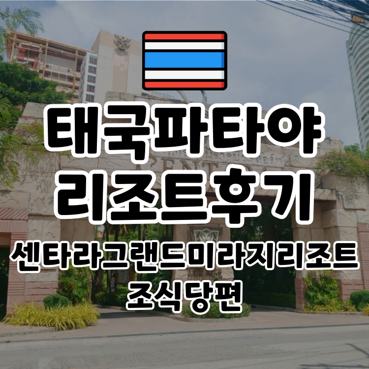  코시국 아이와 태국여행 방콕 파타야 센타라그랜드미라지 리조트 조식편