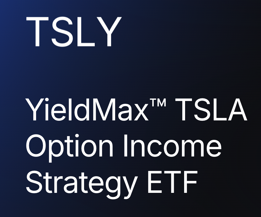 TSLY ETF 테슬라 초고배당주 투자 수익 분석 및 리스크 대응 전략1