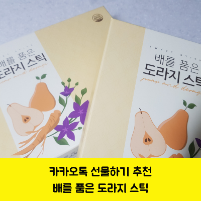  카카오톡 선물하기 추천 / 배를 품은 도라지 스틱 액상차