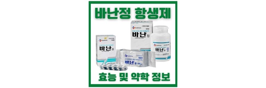  바난정 효능과 효과 및 약학정보 [세파계열의 염증약]