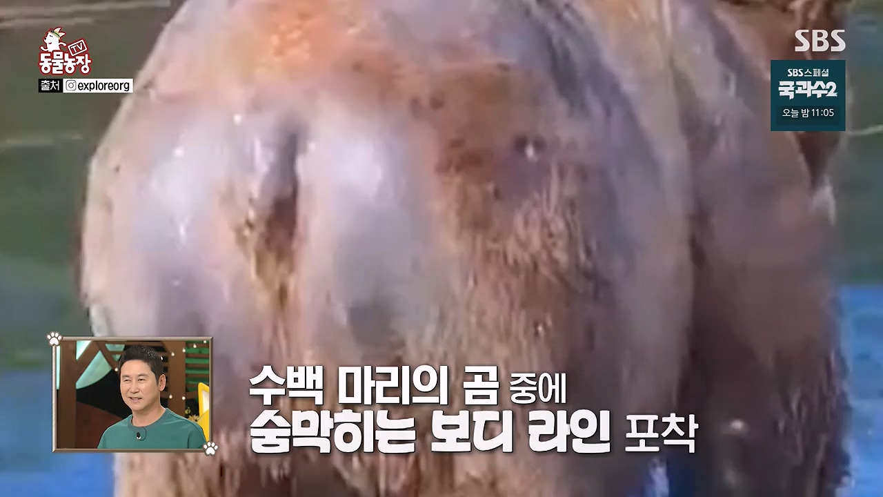 TV 동물농장.E1137.230911p-NEXT.mp4_20230910_183157.592.jpg