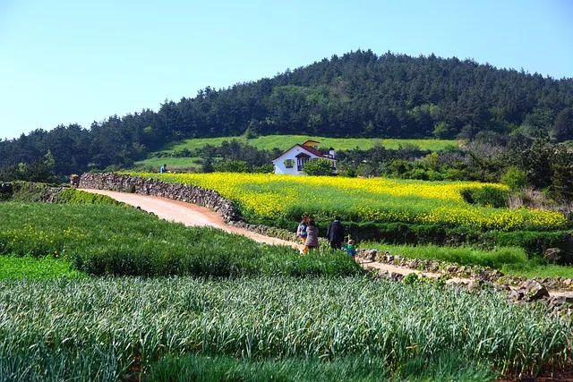 원산도 가볼만한곳 베스트10 명소_1