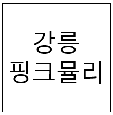  강릉 핑크뮬리 - 파크
