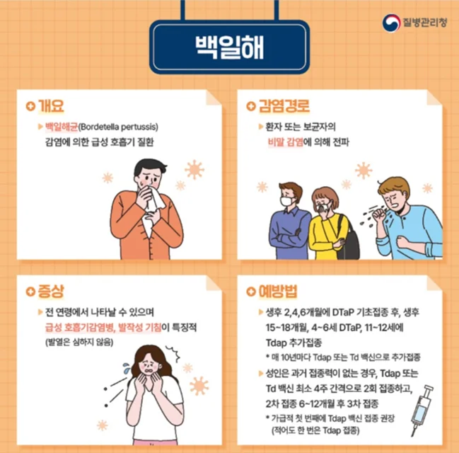 백일해-개요-증상-감염경로-예방법