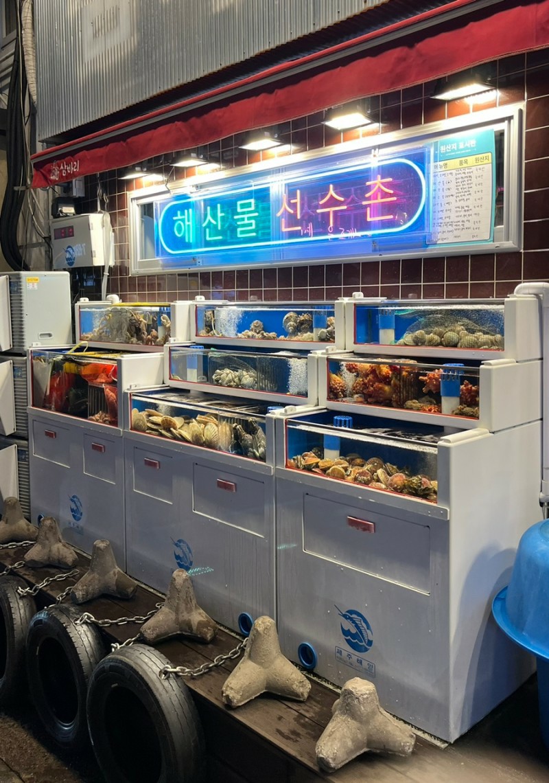삼바리 이미지