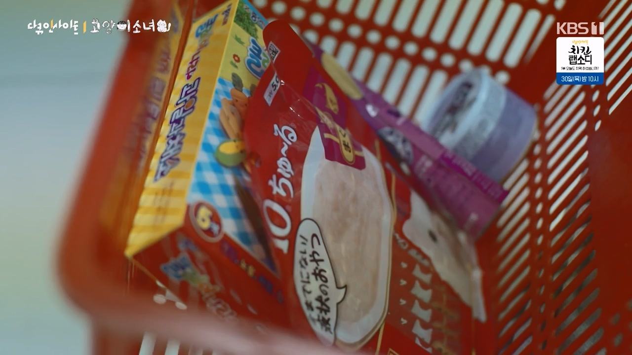 다큐 인사이트.E189.240524p-NEXT.mp4_20240524_205109.279.jpg