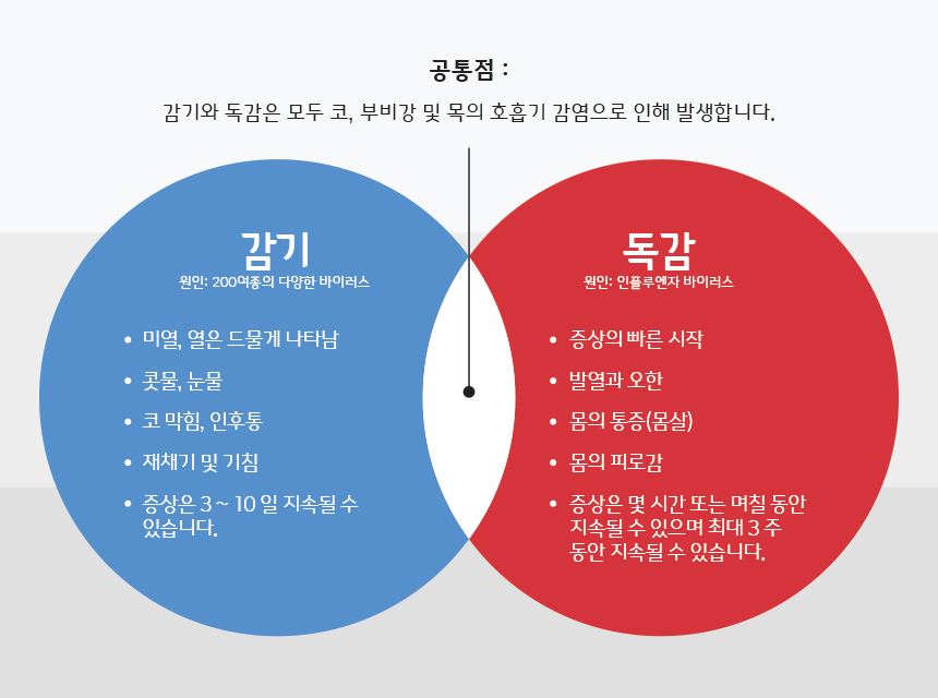  독감과 감기의 차이점 Is It A Cold or  The Flu?