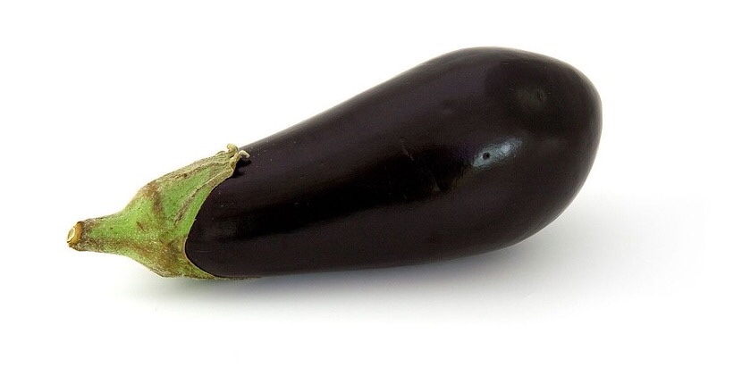  가지효능
