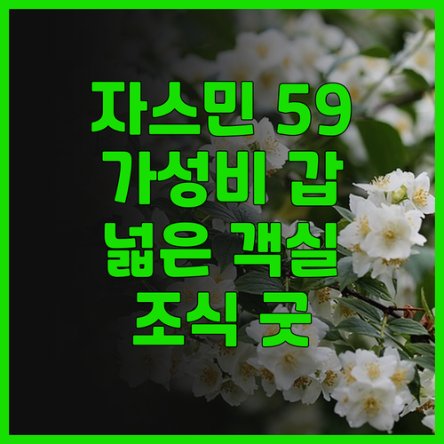 자스민 59 호텔, 가성비 끝판왕! 