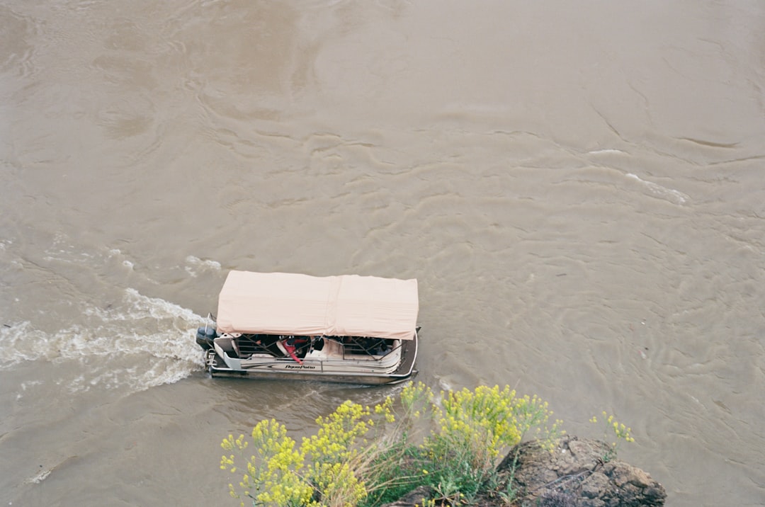 Disaster Assistance