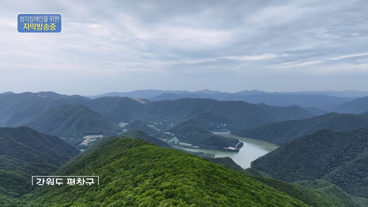 동네 한 바퀴.E234.230806p-NEXT.mp4_20230810_211357.806.jpg