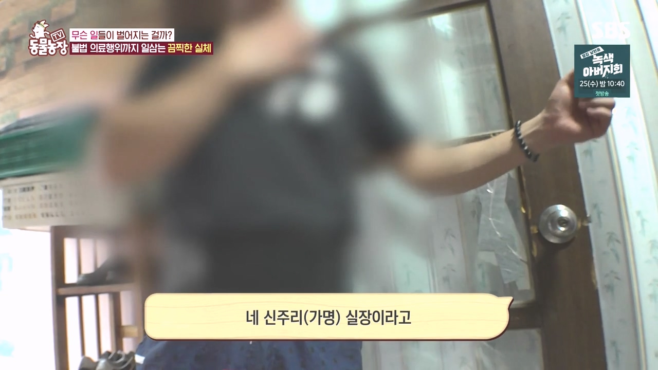 TV 동물농장.E1142.231023p-NEXT.mp4_20231022_172356.698.jpg