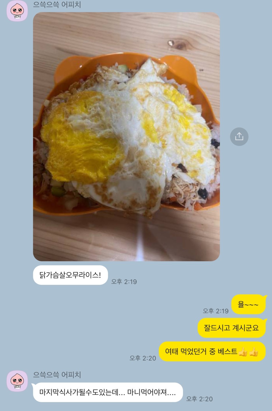 피티바디 이미지