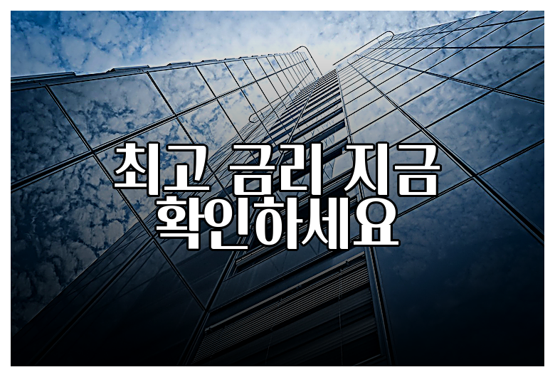 최고 금리 지금 확인하세요