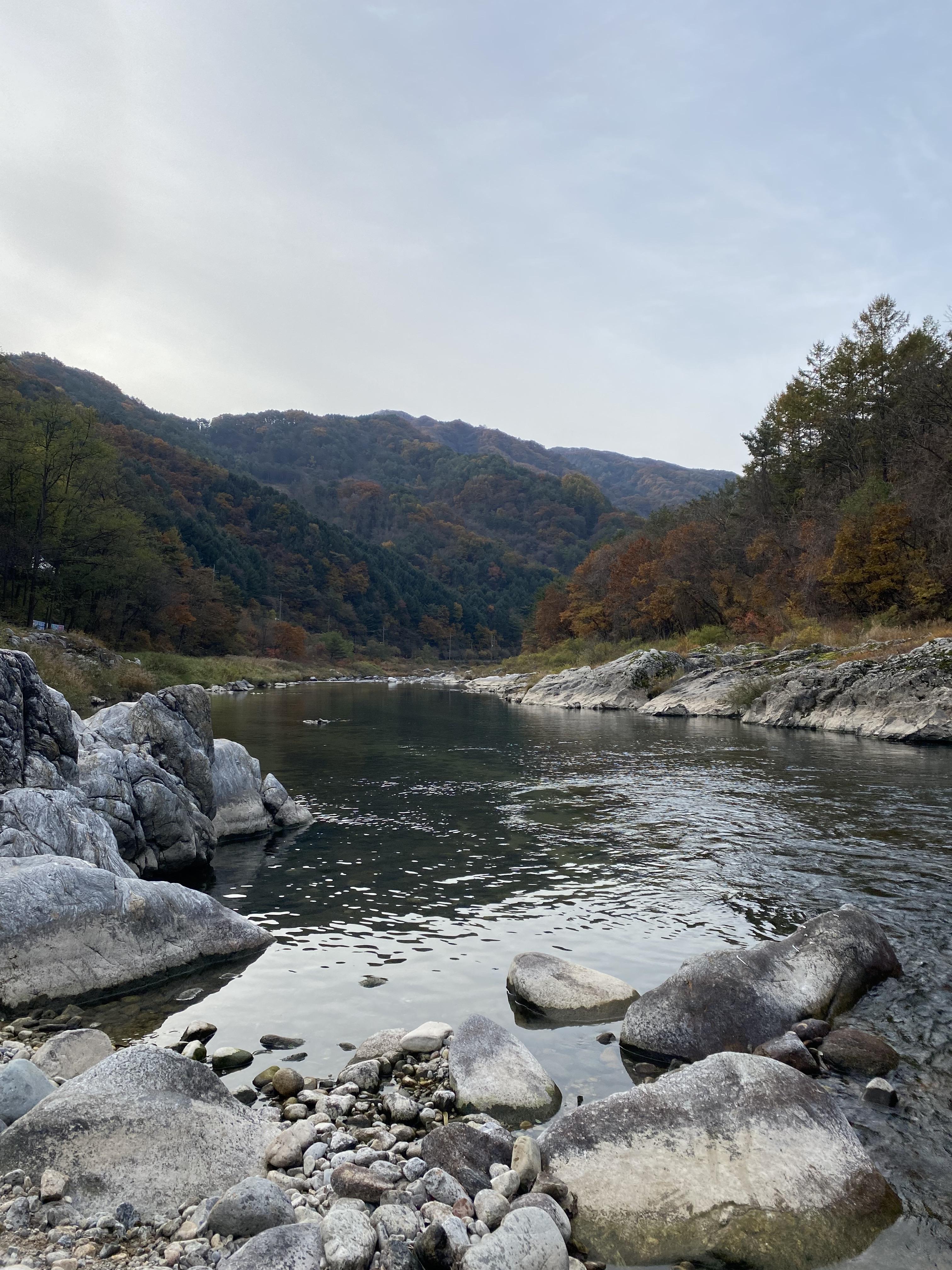  [대형견동반 캠핑장] 인제 미산분교캠핑장(21.10/21.12)