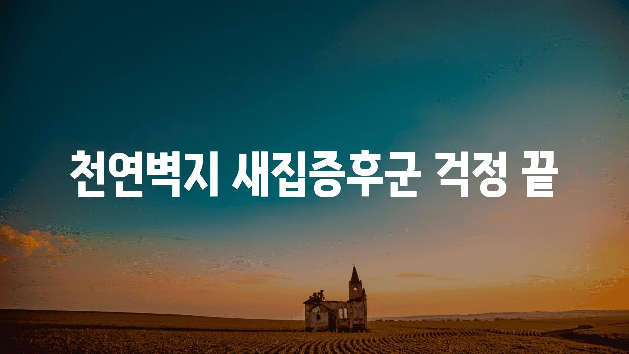 천연벽지 새집증후군 걱정 끝