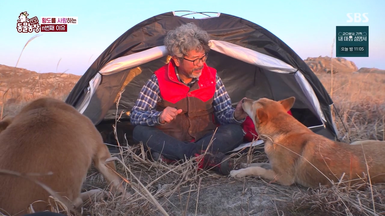 TV 동물농장.E1172.240520p-NEXT.mp4_20240519_165222.660.jpg