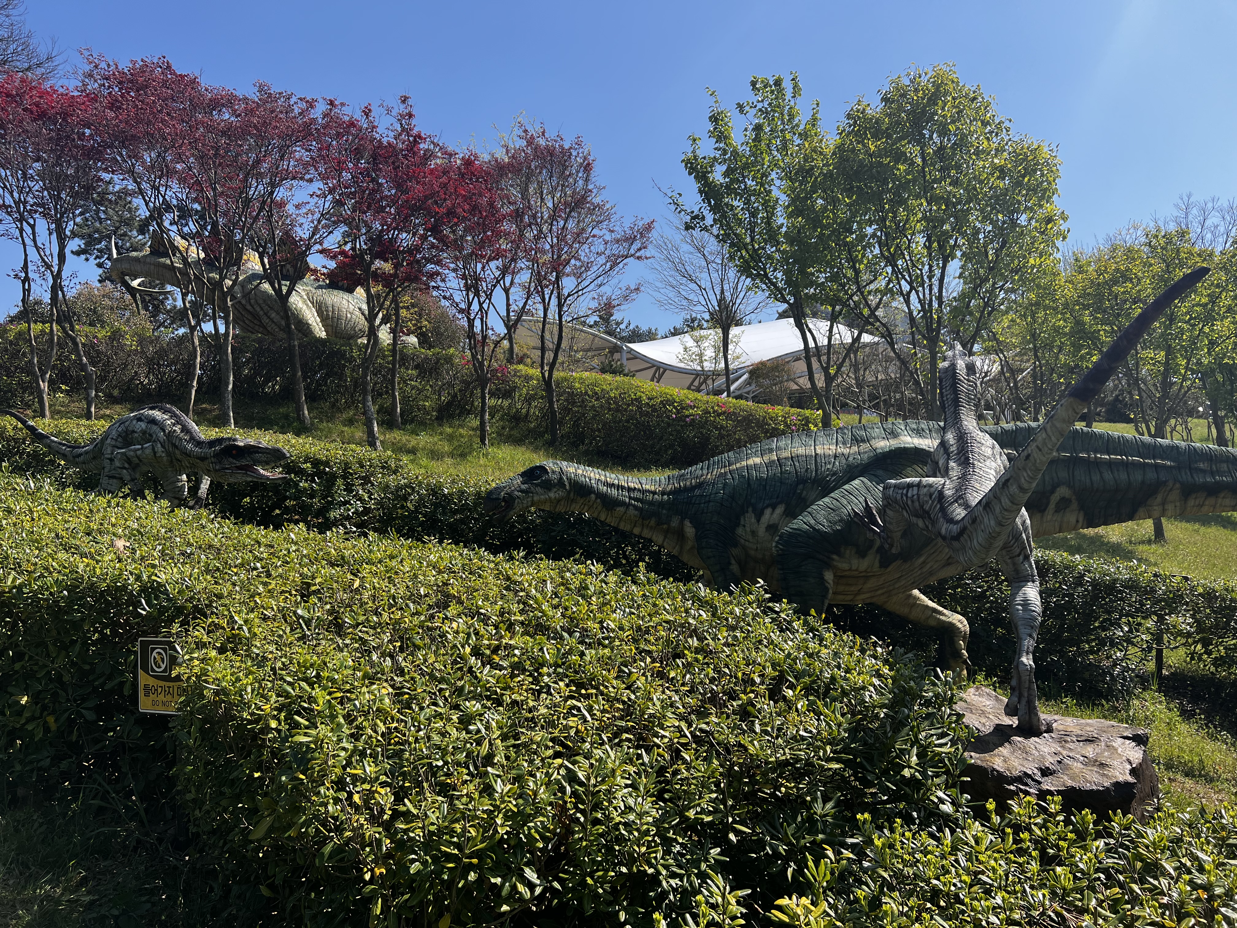 민수랜드-해남공룡박물관 야외 생태계