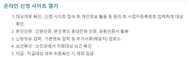 소상공인 손실보전금 확인지급