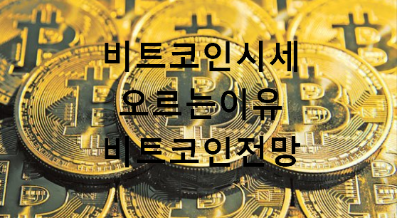  비트코인 시세와 오르는 이유, 시세 전망