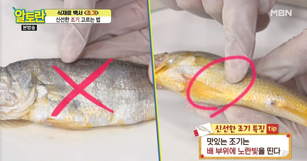  실패없이 신선한 굴비 조기 고르는 법