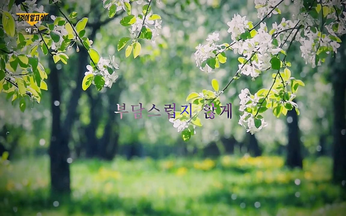 꼬리에 꼬리를 무는 그날 이야기.E23.220408p-NEXT.mp4_20220409_190551.502.jpg