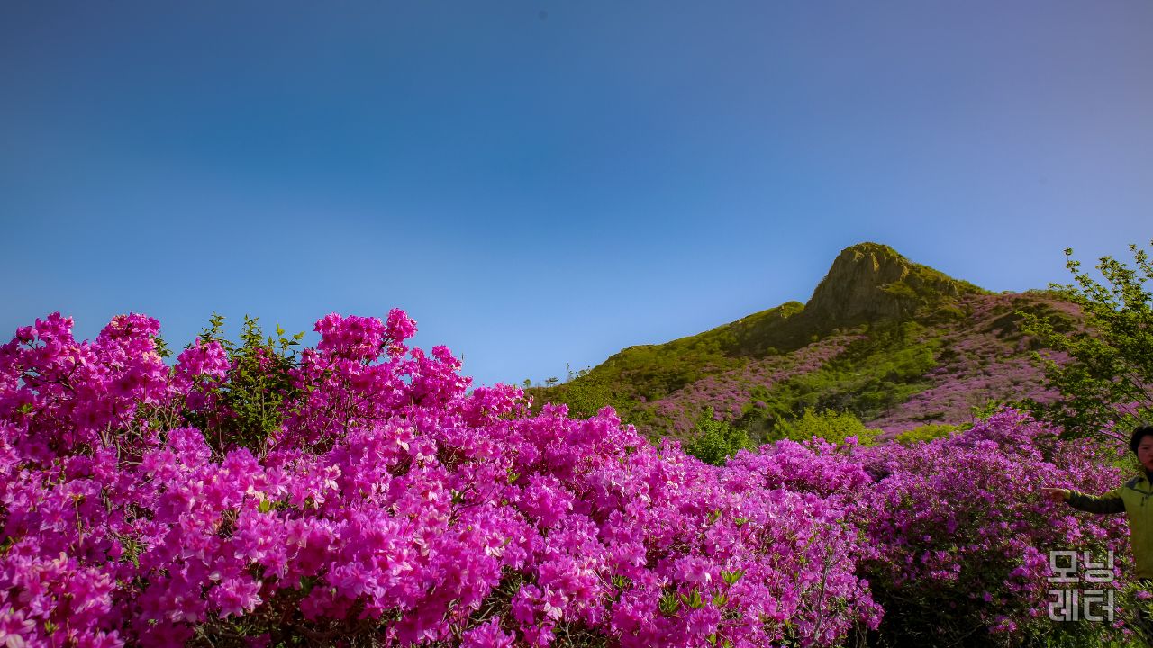 합천 황매산