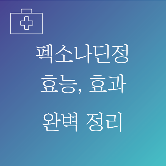 펙소나딘정