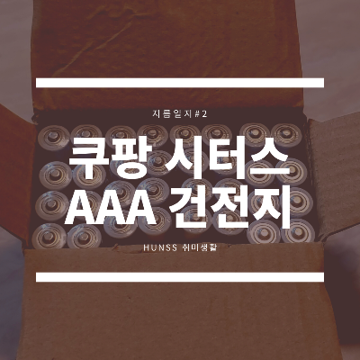  [지름#2] 쿠팡 시터스 알카라인 AAA 건전지 개당 216원!