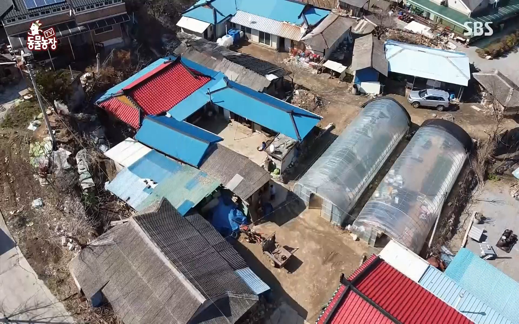TV 동물농장.E1067.220501p.H264-F1RST.mp4_20220501_185014.259.jpg