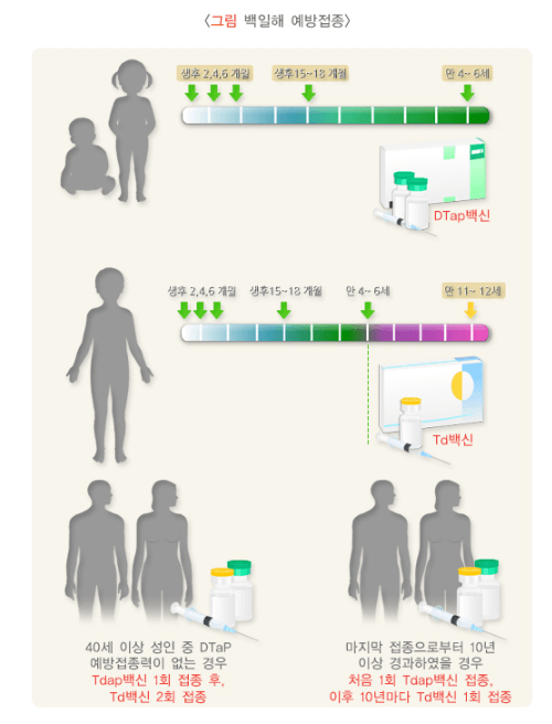 백일해 증상,검사하기,치료하기,예방하기